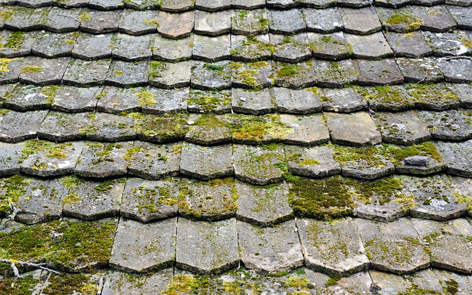 Common Roofing Problems: Addressed