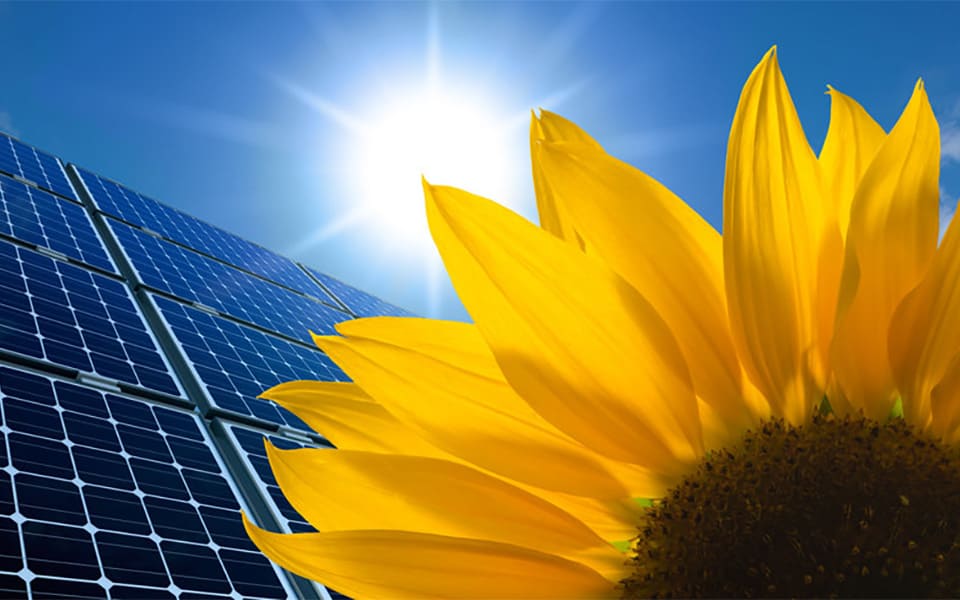 How Solar Energy Positively Affects The Environment