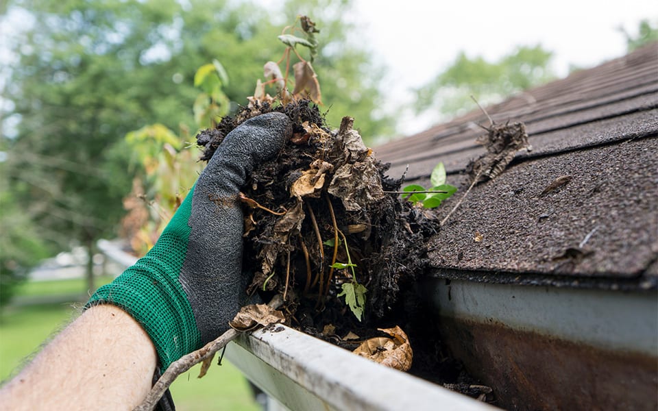 8 Tips on How to Clean Your Gutters