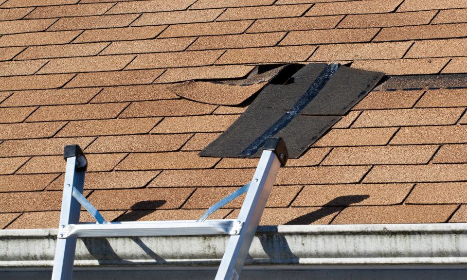 5 Things to do if your roof is leaking roof leak repair