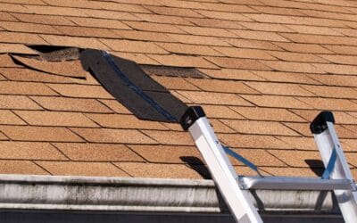 How to Identify and Prevent Roof Damage Before It’s Too Late