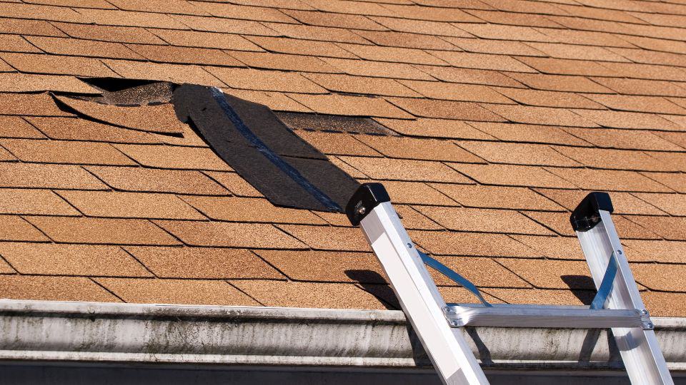 How to Identify and Prevent Roof Damage Before It's Too Late