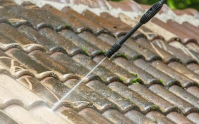 How to Remove Mold From Your Roof