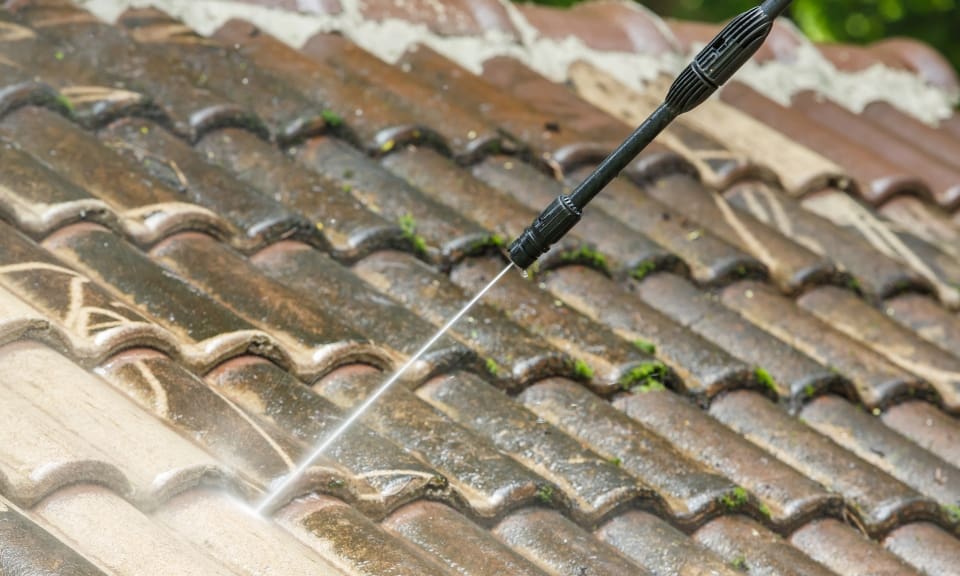 How to Remove Mold From Your Roof